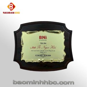 Bào Minh HBC 71 bang vinh danh hbc t11jpg