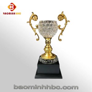 Bào Minh HBC 51 cup hbc n04