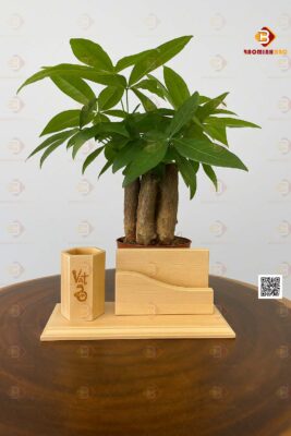 giá đỡ điện thoại
