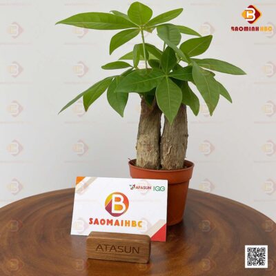 giá để danh thiếp 
