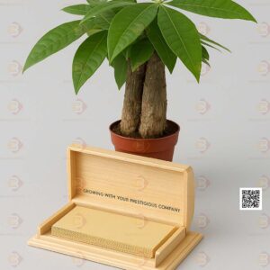 Bào Minh HBC 12 hộp đựng danh thiếp