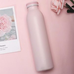 bình giữ nhiệt 600ml