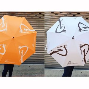 dù in logo theo yêu cầu