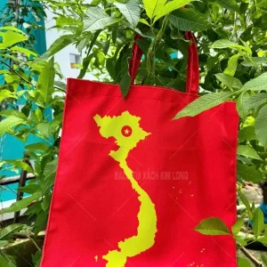 Bào Minh HBC 21 túi canvas