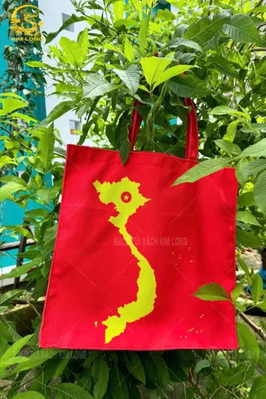 túi canvas