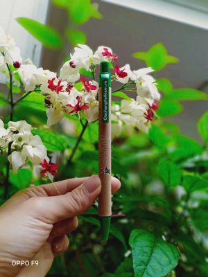 5 Lý Do Nên Chọn Bút Bi Làm Quà Tặng 3 but02