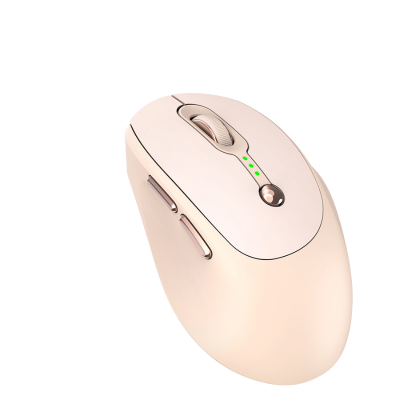 Chuột Không Dây - Món Quà Của Công Nghệ 4.0 2 1 8