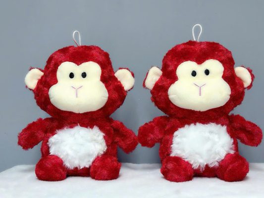 6 Lợi Ích Khi Chọn Gấu Bông Làm Quà Tặng 3 z7072113828578 3a8dabd88abe6b126a088da8645ad34c 1