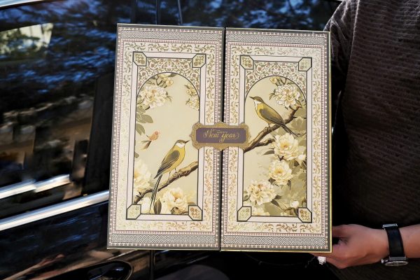 606075912 2067930427375505 5267389711782078581 n