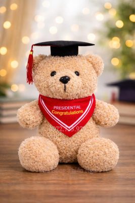 33419659690456373858