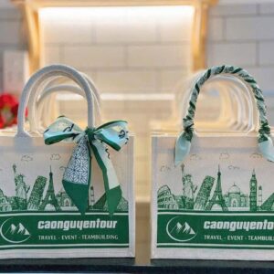 Túi Tote Canvas In Logo Doanh Nghiệp 3 Túi Tote Canvas In Logo Doanh Nghiệp