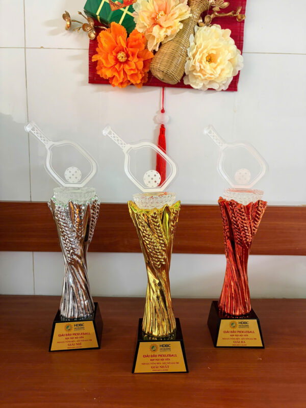 4 Giá Trị Đặc Biệt Mà Cúp Pickleball Cao Cấp Mang Lại 1 Cúp Pickleball Cao Cấp