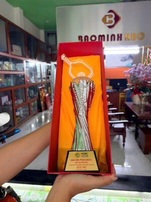 Cúp Pickleball Cao Cấpv